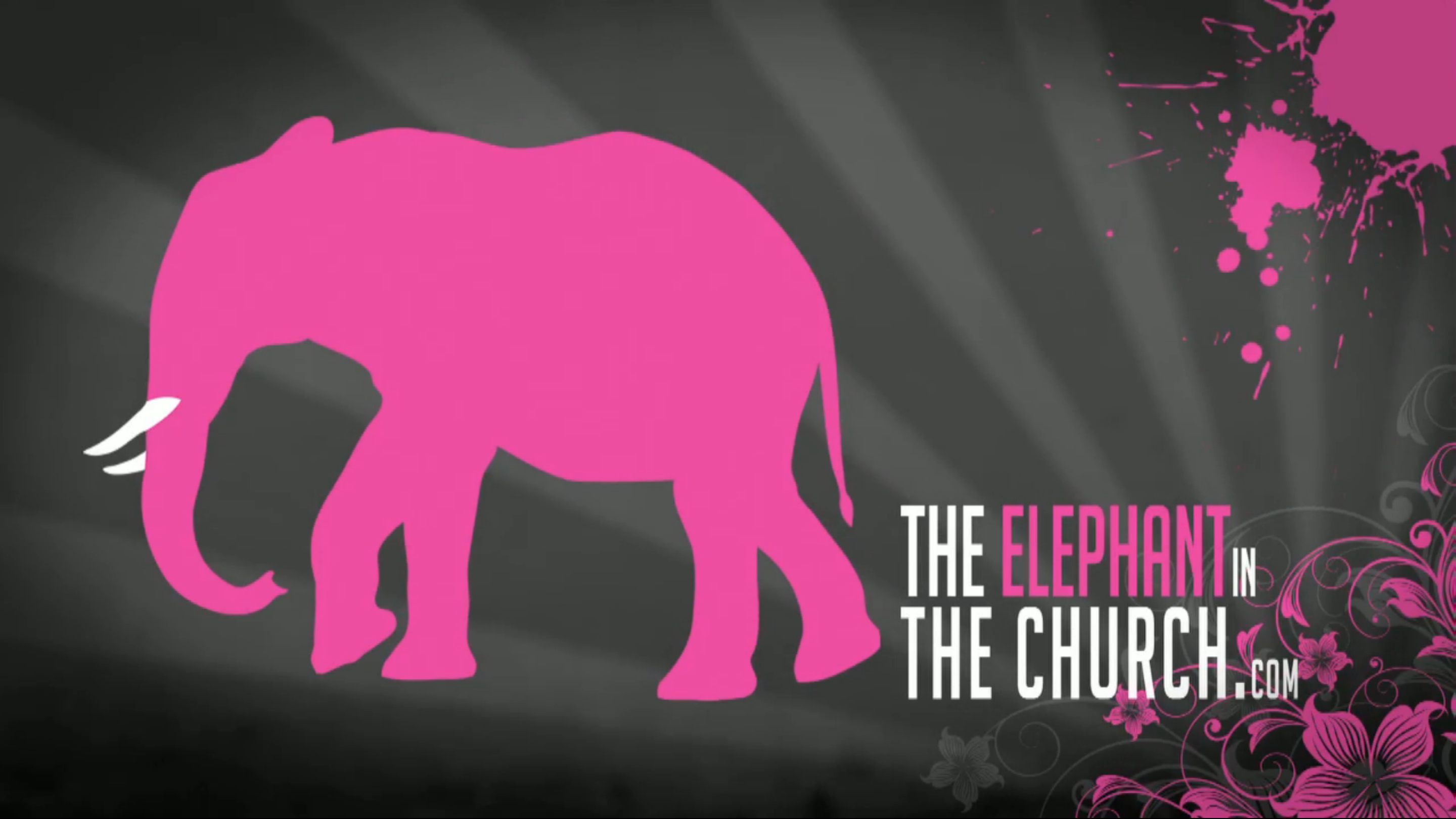 The Elephant in the Church Series