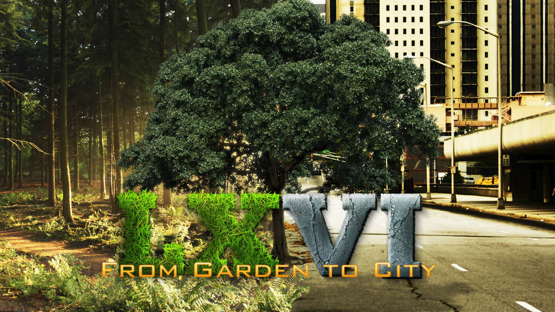From Garden to City Series