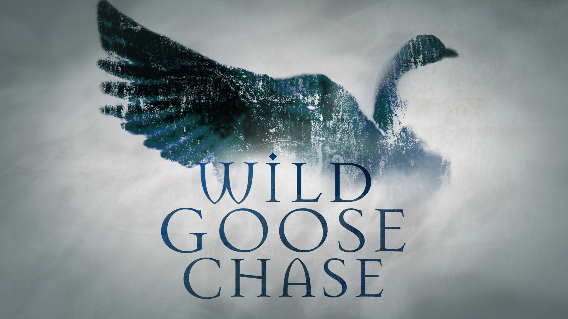 Wild Goose Chase Series