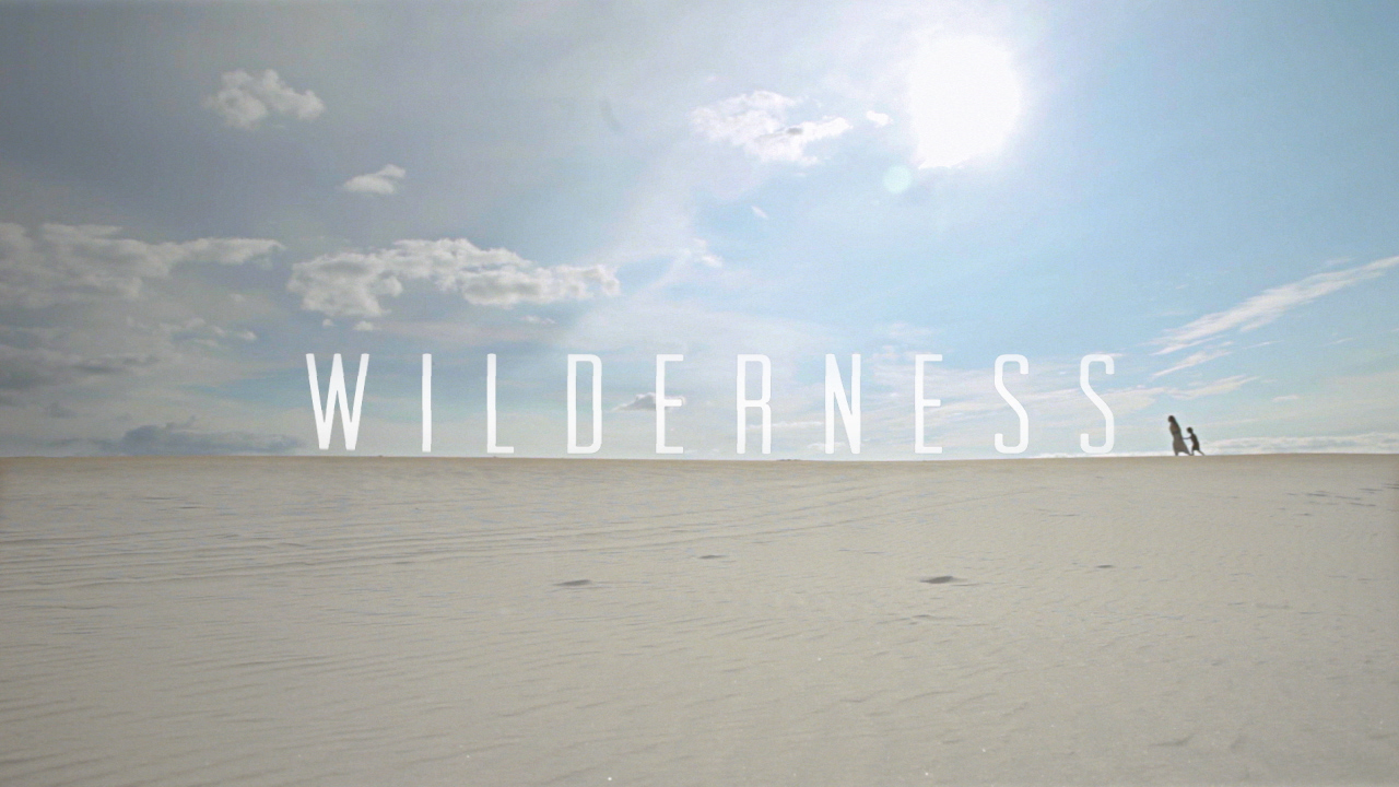 Wilderness Series