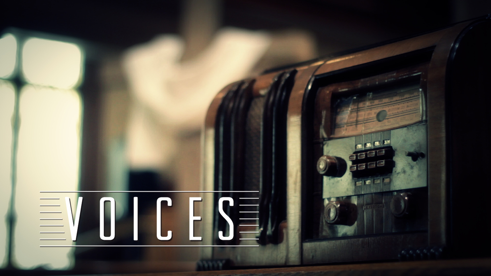 Voices 2014 Series